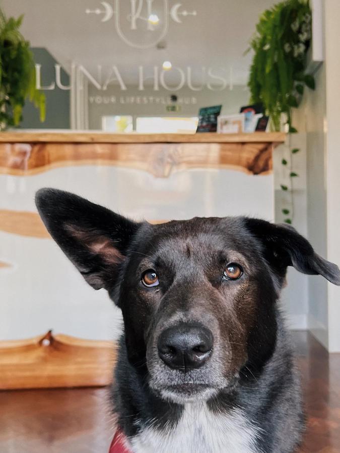 Luna House & Cowork Alojamento de Acomodação e Pequeno-almoço Cascais